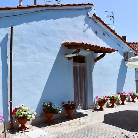 Villino La Perla Azzurra- Marina Di Pisa别墅 外观 照片