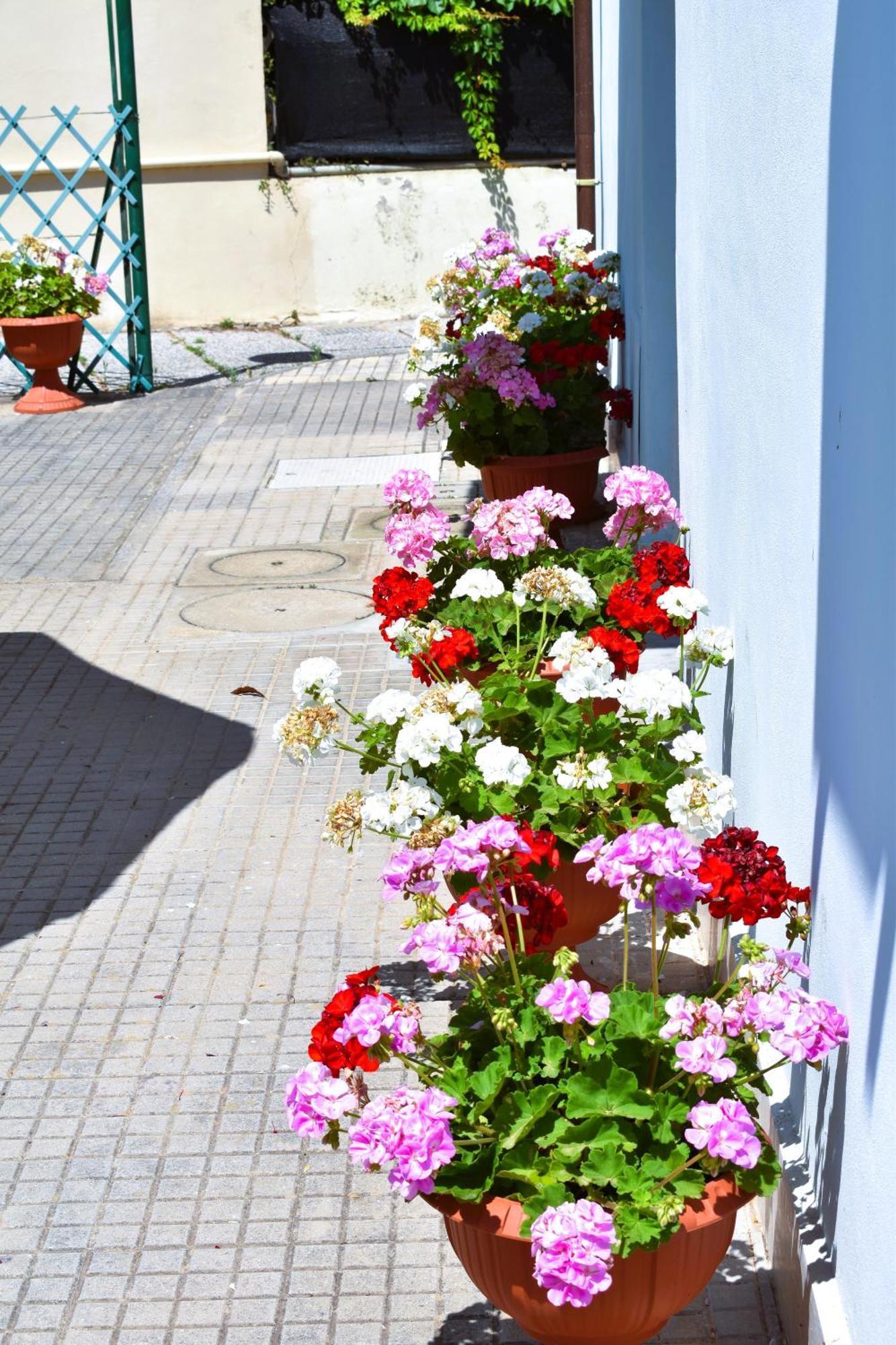 Villino La Perla Azzurra- Marina Di Pisa别墅 外观 照片